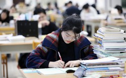 Thống kê 2025: Người dân nước nào có chỉ số IQ cao nhất Đông Nam Á?