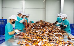 Khám phá quy trình sản xuất chất lượng của thương hiệu “Ăn Cùng Bà Tuyết”