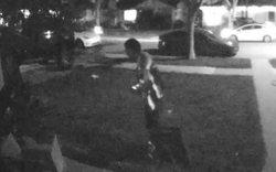 Xem camera, người phụ nữ sốc nặng khi thấy hành động của shipper