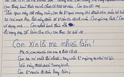 Bức thư xót xa 1 nữ sinh gửi mẹ: "Mẹ ơi con rất sợ… Con không ăn nổi cơm. Chỉ còn một tia hi vọng mong manh"