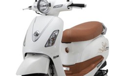 Công an TPHCM tìm chủ xe Atila Elizabeth