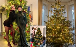 Trào lưu 'cây thông Noel trần trụi' của sao Hollywood gây tranh cãi