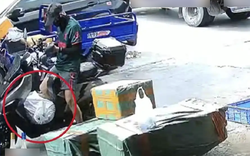 Nhận 97.000 đồng để giao... 1 con cá sấu, shipper gặp nguy khi đơn hàng bất ngờ sống dậy giữa đường đi