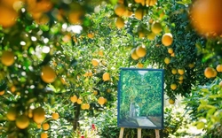 Vườn như trong phim hút khách du lịch Mộc Châu