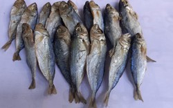 3 loại cá làm tăng nguy cơ mắc ung thư: Toàn món khoái khẩu của nhiều người