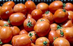 Thứ quả từng "rẻ như cho" nay khiến người mua choáng váng vì giá đắt đỏ