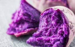 Không phải thuốc bổ, đây mới là 4 thực phẩm giúp chống lão hóa tự nhiên vào mùa đông