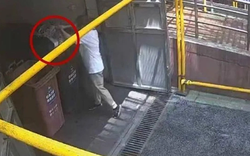 Được ngày dọn nhà giúp mẹ, cô gái xinh đẹp vứt nhầm hộp vàng gần 2 tỷ đồng vào thùng rác