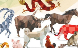 Tháng 11 âm 2 con giáp bước vào giai đoạn hoàng kim, giàu có thịnh vượng, 1 con giáp thận trọng