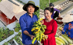 Bỏ phố về quê, vợ chồng miền Tây biến mảnh đất 3.000m2 khô cằn thành khu vườn được quy hoạch thẳng tắp như "chơi game"