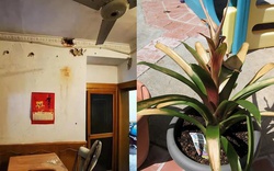 Phòng khách càng phạm 5 thứ này, tài vận gia đình càng xuống - dọn lại sớm để con cháu thịnh vượng lâu dài