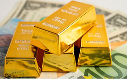 Đột kích tư gia nữ kế toán, tịch thu 18,8 kg vàng trị giá 70 tỷ đồng, 14 tỷ đồng tiền mặt ‘chất như núi’, 2 xe Audi