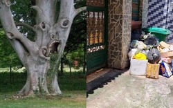 Trước nhà có 3 thứ này, làm ăn khó phất dù rất chăm chỉ