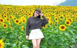 Bạn trẻ check-in ‘biển hoa mặt trời’ lớn nhất Việt Nam