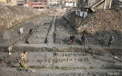 Đào móng công trình, đội công nhân phát hiện trận cọc gỗ "hình chữ T" bí ẩn, chuyên gia lập tức phong toả hiện trường