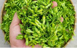 2 món rau của người Việt là 'thuốc chữa đau đầu', ăn vào ngủ ngon đến sáng