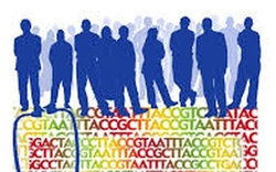 Bất ngờ: Gen không tạo ra sự khác biệt lớn nhất của con người - không có "gen thiên tài"