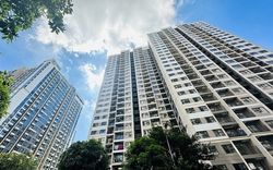 Kinh nghiệm 15 năm sống chung cư: Tôi nhận ra nên làm phòng khách ngang hay dọc, chọn đúng thì sống sướng, bán dễ