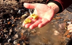 Lão nông phát hiện cả núi vàng trong hang, đem đến ngân hàng đổi lấy tiền thì cảnh sát ập đến