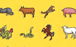 Đàn ông thuộc con giáp này gặp Tam tai lớn nhất năm 2026, làm sao để hóa giải?