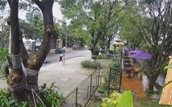 Xác minh vụ người đàn ông chặn xe, hành hung 3 đứa trẻ giữa đường ở Quảng Ngãi