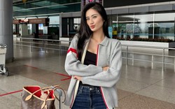 Hoa hậu Ý Nhi xách túi hiệu quay lại Úc, bất ngờ khi biết công việc làm thêm nơi xứ người