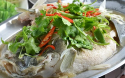 Top 7 loại hải sản ít thủy ngân bậc nhất