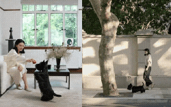 Căn hộ 200m² và người phụ nữ tuổi 40 sống một mình: Minh chứng rằng tự do đến từ tài chính vững, không phải hôn nhân