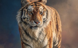 Càng gần Tết càng may: Top 3 con giáp trúng lộc nhà đất - dễ gặp đúng người, đúng giá