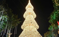 Cây thông Noel nón lá cao 35m "gây sốt" mùa Giáng sinh ở Đồng Nai