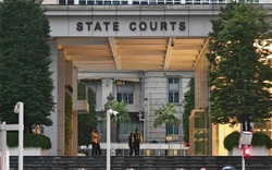 Người phụ nữ Việt nhận án tù tại Singapore vì tội đa phu