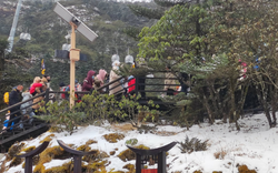 Khách Việt kể chuyện đi ngắm tuyết trên núi cao hơn 4000m ở Trung Quốc, nhận xét: "Không ngờ đến mức này!"