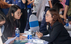 Sinh viên mới ra trường ngày càng khó tìm việc