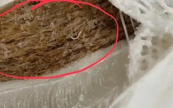 Dù giàu hay nghèo cũng nên sớm nói lời tạm biệt với 5 món đồ độc hại này