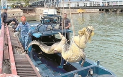 Người dân bắt được cá sấu khổng lồ dài 4 mét, nặng 500kg