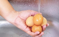 Mua trứng về cất tủ lạnh, nên rửa sạch hay để nguyên? Lời giải từ chuyên gia khiến nhiều người "giật mình"