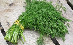 Rau thì là: Thứ rau rẻ tiền nhưng được ví như “vị thuốc xanh” cho cơ thể - nhưng không phải ai cũng ăn được