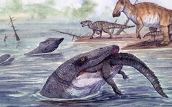 Thủy quái dài 11 mét "trỗi dậy" từ lòng sông cổ