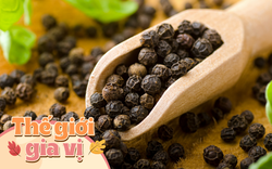 Đừng chỉ dùng theo thói quen, hiểu đúng về "tứ đại danh tiêu" để món kho, món canh dậy vị gấp đôi