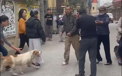 Vụ thả chó cắn người nhập viện ở Hà Nội: Nạn nhân kể chi tiết