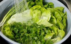 Rửa rau ngâm muối bao lâu là đủ sạch mà không làm nát rau?