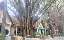 Cận cảnh hàng chục căn villa khu resort ở TPHCM bị phong tỏa vì nứt tường, sập trần