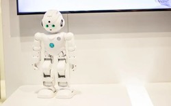 Hết cho robot đấm bốc, người Trung Quốc giờ lại 'hô biến' đưa AI vào gấu bông để tạo ra ngành công nghiệp tỷ USD