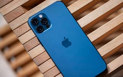 iPhone cũ nào đáng mua nhất hiện nay?