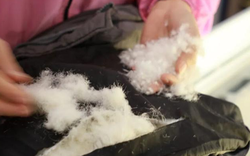 Mặc áo phao, người đàn ông suy hô hấp phải cấp cứu, bác sĩ cảnh báo: Hãy cẩn thận với loại quần áo này!