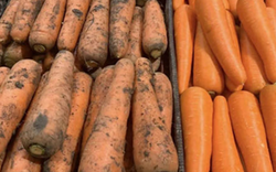 Tôi vừa nhận ra sự khác biệt lớn giữa cà rốt bám bùn đất và cà rốt trắng sạch!