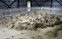 Ukraine: Phát hiện 4 công trình lạ xây bằng xương quái thú