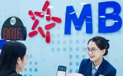 Hé lộ thu nhập, thưởng Tết của nhiều ngân hàng