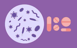 Đừng quên tẩy giun định kỳ