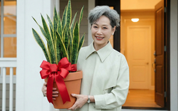 Tặng quà tân gia đừng chỉ đi phong bì: Gợi ý 3 món quà mang ý nghĩa biểu tượng cát tường khiến chủ nhà nhớ mãi không quên